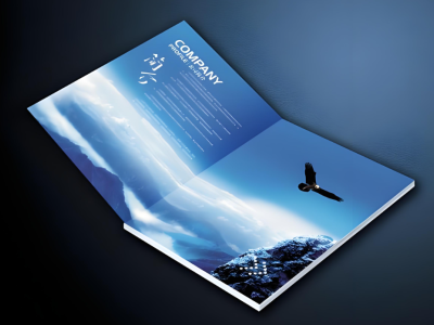 包装印刷企业官网建设方案：从展示窗口到数字化获客引擎